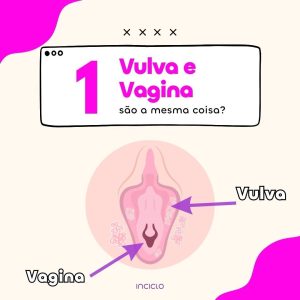 Vulva e vagina são a mesmacoisa? Inciclo Blogpost