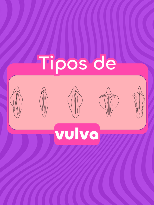 Os tipos de vulva e a anatomia feminina